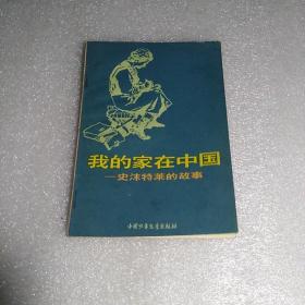 我的家在中国