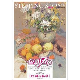 敲门砖：色彩风暴·色彩静物(色调与临摹)