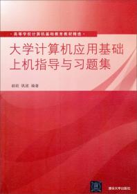 大学计算机应用基础上机指导与习题集/高等学校计算机基础教育教材精选