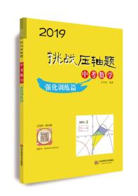 2019挑战压轴题·中考数学—强化训练篇