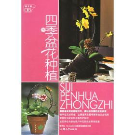 四季盆花种植