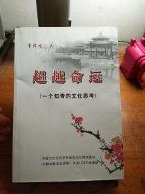 超越命运（一个知青的文化思考）