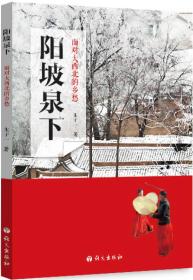 阳坡泉下：面对大西北的乡愁