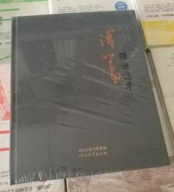 旷世逸才 溥心畲 全新正版