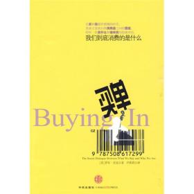 买单:the secret dialogue between what we buy and who we are