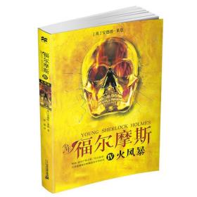 火风暴：少年福尔摩斯4