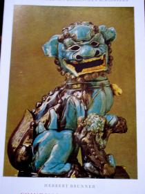 插图本（55幅）德国巴伐利亚王国维特尔斯巴赫尔王族慕尼黑王宫《宫藏中国瓷器》