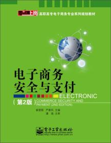 电子商务安全与支付（第2版）/零距离上岗·高职高专电子商务专业系列规划教材