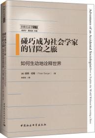 碰巧成为社会学家的冒险之旅：如何生动地诠释世界