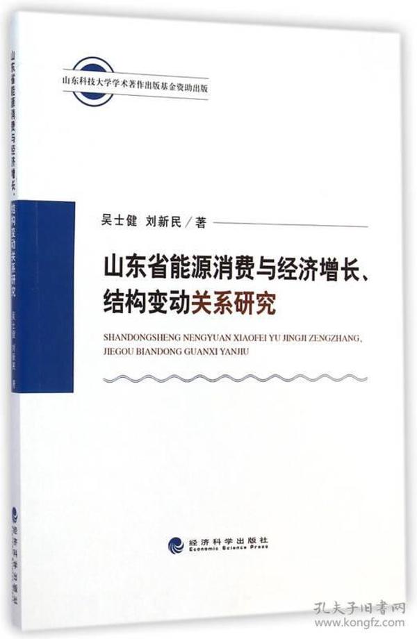 山东省能源消费与经济增长、结构变动关系研究