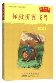 *红色中国（升级纪念版）：拯救折翼鸟（儿童读物）