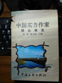 中国实力作家精品概览【一版一印，仅印1000册。硬精装，孔网稀缺！欲购从速！】