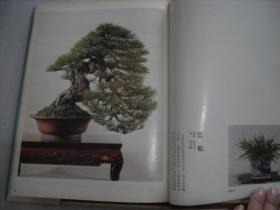 盆景---栽培、接枝、观赏、养护【128】