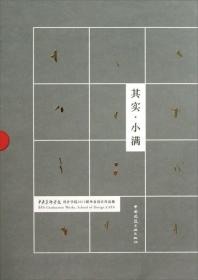 其实·小满：中央美术学院设计学院2013届毕业设计作品集