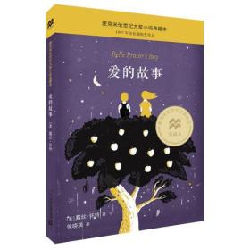 麦克米伦世纪·大奖小说典藏本：爱的故事
