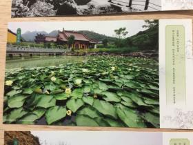 浙江绍兴市炉峰禅寺邮资明信片一套12张全（炉峰禅寺对外开放二十周年纪念）