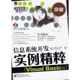 信息系统开发实例精粹(Visual Basic版)