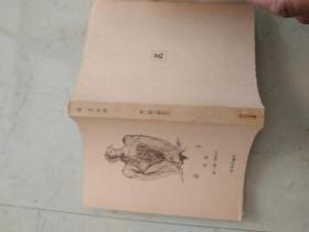 庄子 外篇+杂篇 日文原版 森三树三郎译注