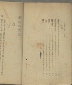 《叶绍钧文选》全一册 1936年初版