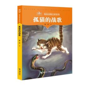 孤猫的战歌