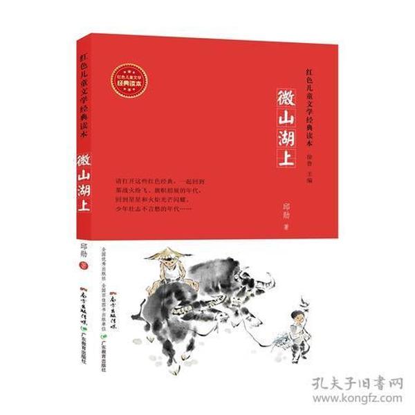 红色儿童文学经典读本:微山湖上