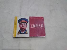 十大将军传记丛书 王树声大将 （一版一印）