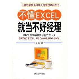 不懂EXCEL就当不好经理：实用管理表格及其设计方法大全