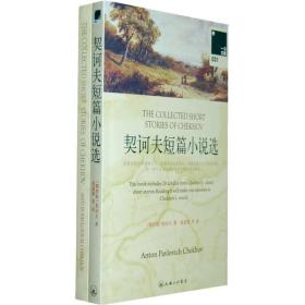 特价现货！ 契诃夫短篇小说选 [俄罗斯]契诃夫；童道明  译 上海三联书店 9787542630483