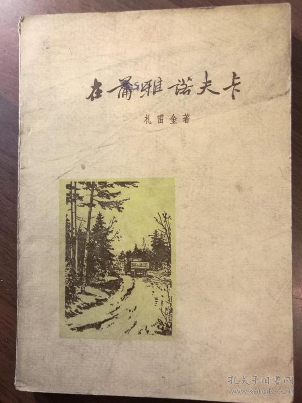 在蒲亚诺夫卡——1954年春天·特写集