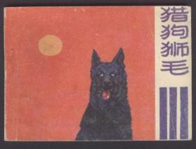猎狗狮毛（量小）