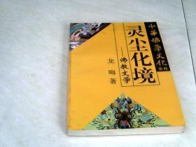 灵尘化境——佛教文学（中华佛学文化系列）【32开  1995年一版一印】