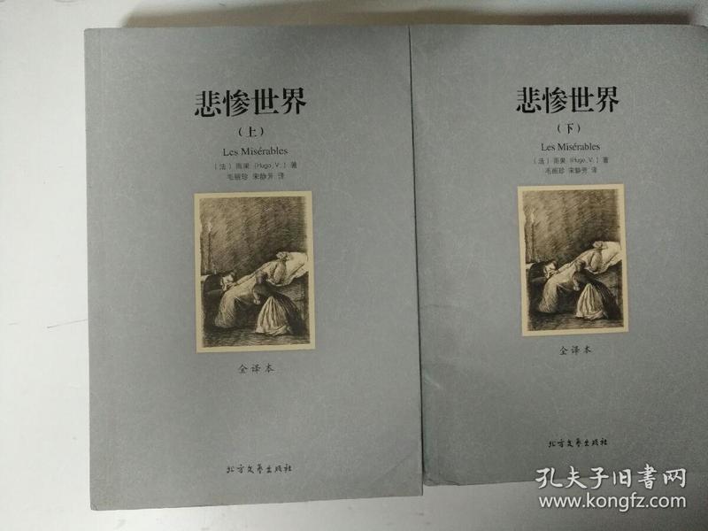 世界文学名著:悲惨世界(全译本)(套装共2册)