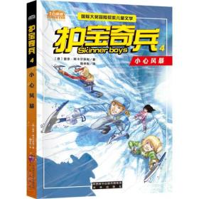 护宝奇兵4小心风暴