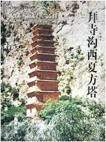 拜寺沟西夏方塔(精装)