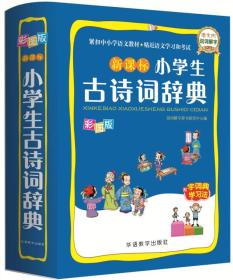 新课标小学生古诗词辞典 彩图版、