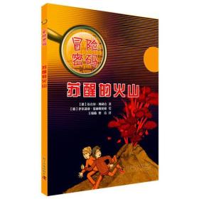冒险密码：苏醒的火山