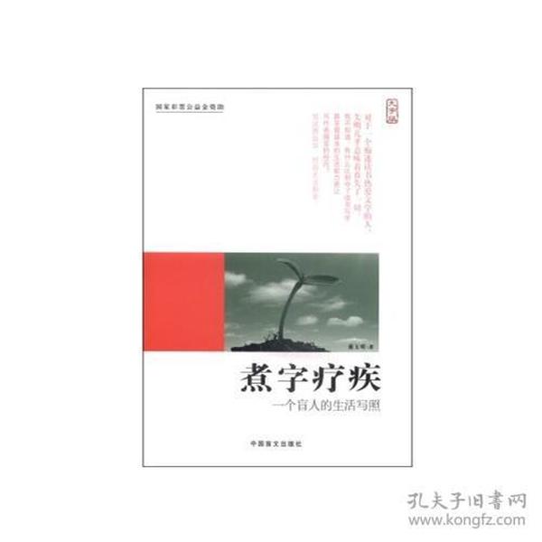 煮字疗疾—一个盲人的生活写照（大字版）