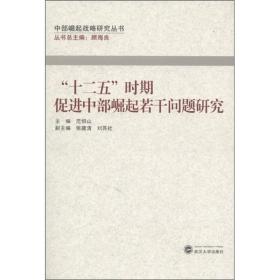 中部崛起战略研究丛书：“十二五”时期促进中部崛起若干问题研究