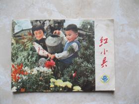 红小兵  1973年19期