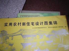 实用农村新住宅设计图集锦