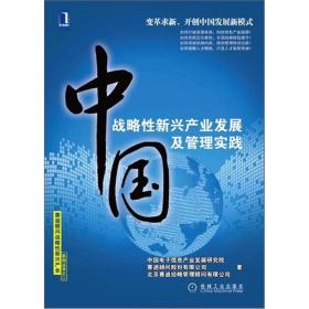 中国战略性新兴产业发展及管理实践