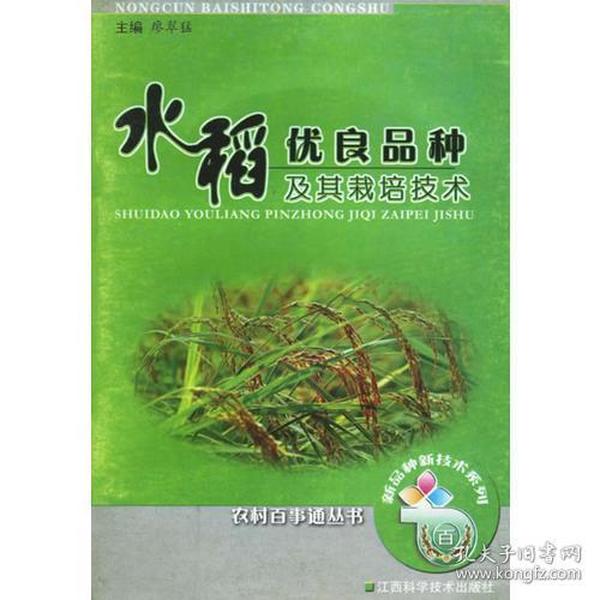 水稻优良品种及其栽培技术