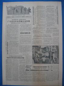 1987年中国青年报 1987年6月11日12日13日14日16日17日18日19日报（单日价格）