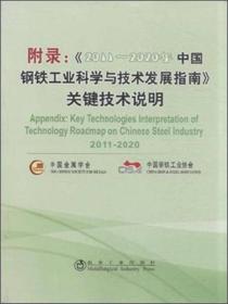 附录：《2011-2020年中国钢铁工业科学与技术发展指南》关键技术说明
