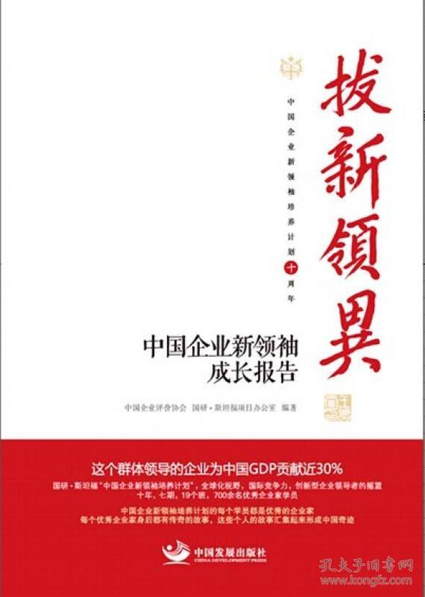 拔新领异 : 中国企业新领袖成长报告