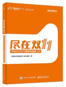 尽在双11 阿里巴巴技术演进与超越