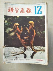 科学画报198212