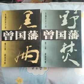 长篇历史小说  曾国藩：第二部：野焚 第三部 黑雨（2本合售）