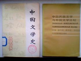 中国民族文学与外国文学比较【一版一印】