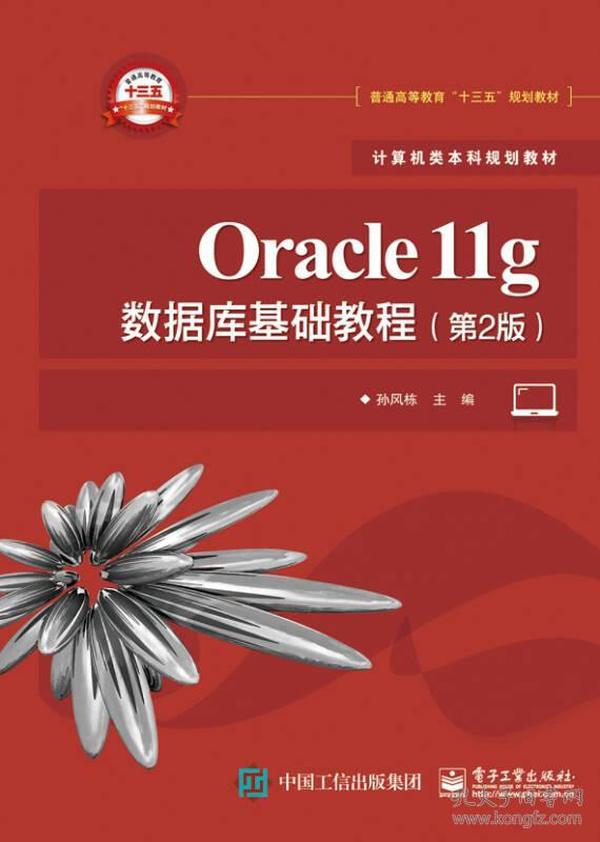 Oracle11g数据库基础教程(第2版) 孙 风 栋 电子工业出版社 2017-01-01 9787121304637